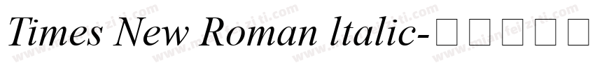 Times New Roman ltalic字体转换